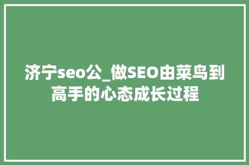 济宁seo公_做SEO由菜鸟到高手的心态成长过程 济宁seo公_做SEO由菜鸟到高手的心态成长过程 网站建设公司