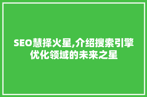 SEO慧择火星,介绍搜索引擎优化领域的未来之星 网站建设公司