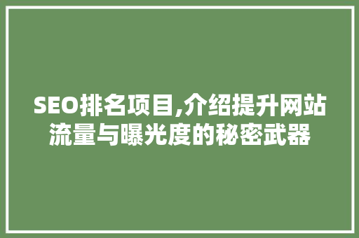 SEO排名项目,介绍提升网站流量与曝光度的秘密武器 SEO关键词