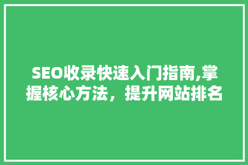 SEO收录快速入门指南,掌握核心方法，提升网站排名 SEO关键词