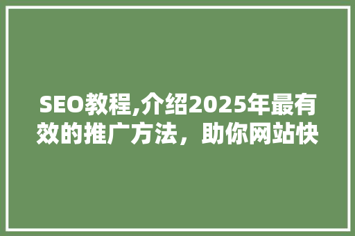 SEO教程,介绍2025年最有效的推广方法，助你网站快速崛起！ SEO关键词