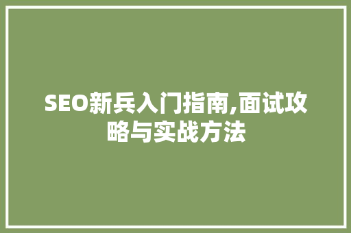 SEO新兵入门指南,面试攻略与实战方法 百度SEO