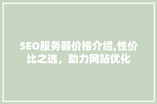 SEO服务器价格介绍,性价比之选，助力网站优化 SEO关键词