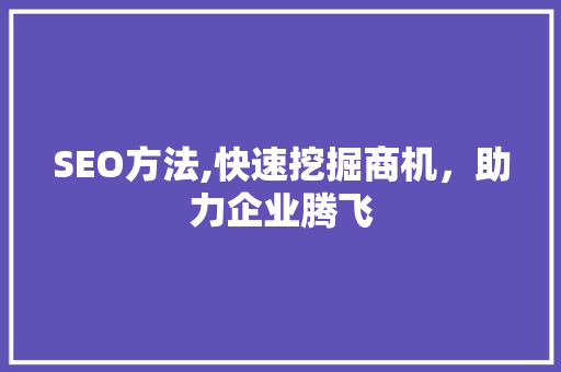 SEO方法,快速挖掘商机，助力企业腾飞 网站建设公司