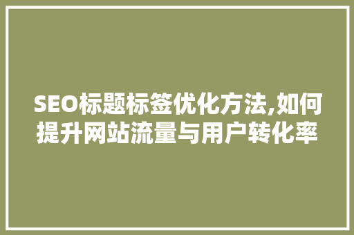 SEO标题标签优化方法,如何提升网站流量与用户转化率 百度SEO