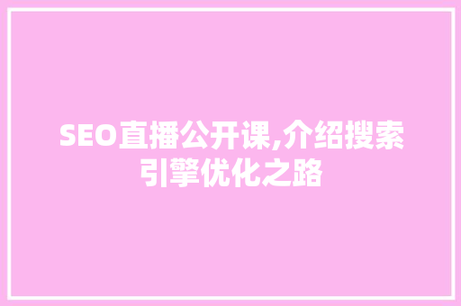 SEO直播公开课,介绍搜索引擎优化之路 必应SEO