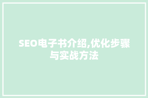 SEO电子书介绍,优化步骤与实战方法 网站建设公司