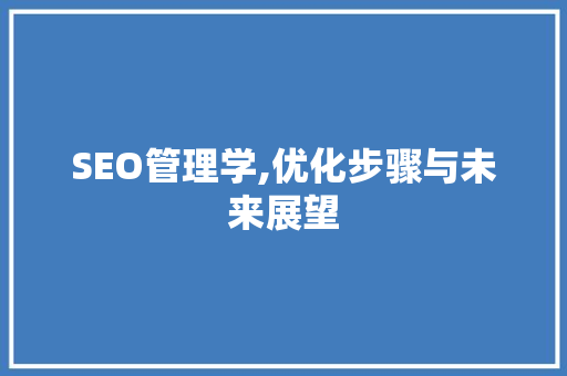 SEO管理学,优化步骤与未来展望 网站建设公司
