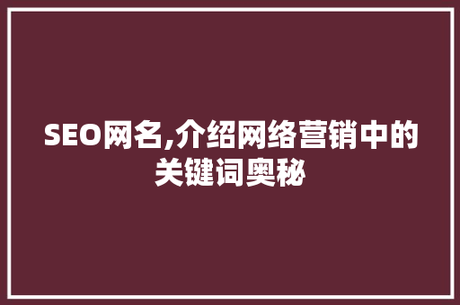 SEO网名,介绍网络营销中的关键词奥秘