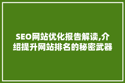SEO网站优化报告解读,介绍提升网站排名的秘密武器