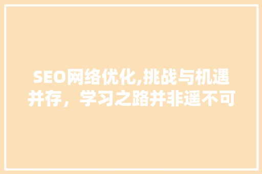 SEO网络优化,挑战与机遇并存，学习之路并非遥不可及