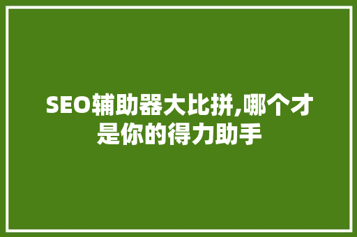 SEO辅助器大比拼,哪个才是你的得力助手 SEO关键词