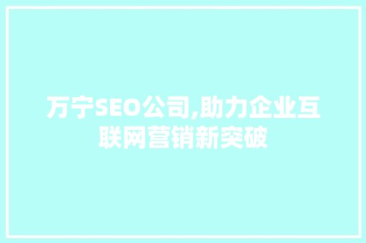万宁SEO公司,助力企业互联网营销新突破 网站建设公司
