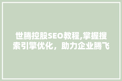 世腾控股SEO教程,掌握搜索引擎优化，助力企业腾飞 必应SEO