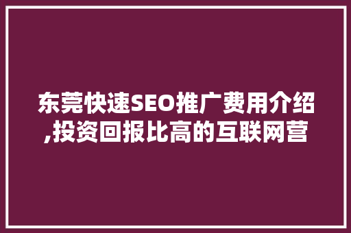 东莞快速SEO推广费用介绍,投资回报比高的互联网营销步骤 网站建设公司