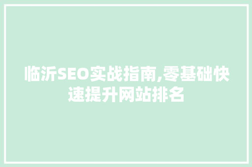 临沂SEO实战指南,零基础快速提升网站排名 SEO关键词