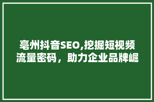 亳州抖音SEO,挖掘短视频流量密码，助力企业品牌崛起 百度SEO
