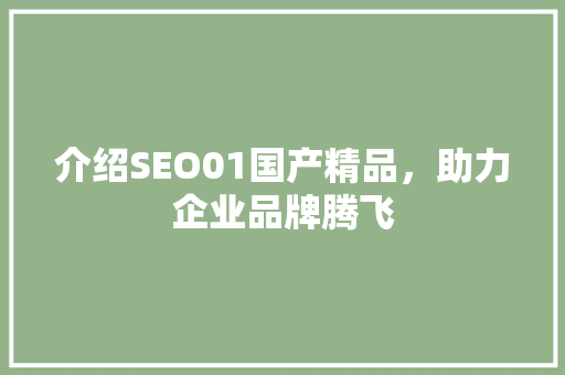介绍SEO01国产精品，助力企业品牌腾飞 SEO关键词