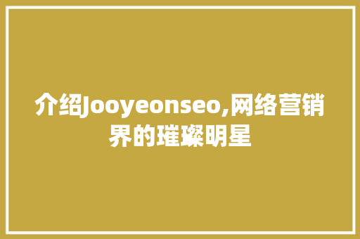 介绍Jooyeonseo,网络营销界的璀璨明星 百度SEO