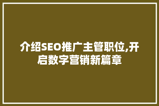 介绍SEO推广主管职位,开启数字营销新篇章 百度SEO
