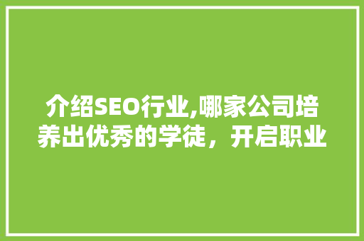 介绍SEO行业,哪家公司培养出优秀的学徒，开启职业生涯新篇章