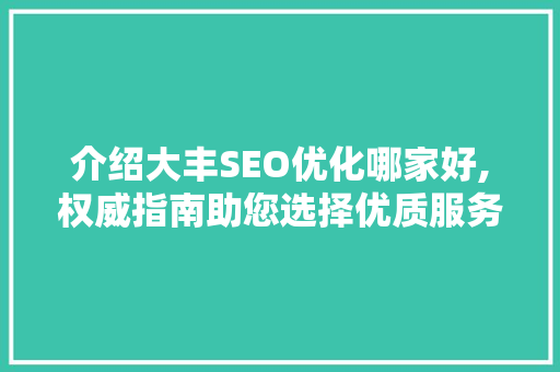 介绍大丰SEO优化哪家好,权威指南助您选择优质服务商
