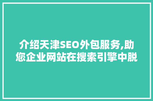 介绍天津SEO外包服务,助您企业网站在搜索引擎中脱颖而出 网站建设公司