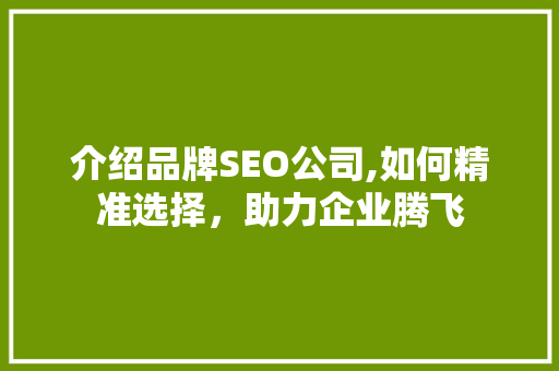 介绍品牌SEO公司,如何精准选择，助力企业腾飞 神马SEO