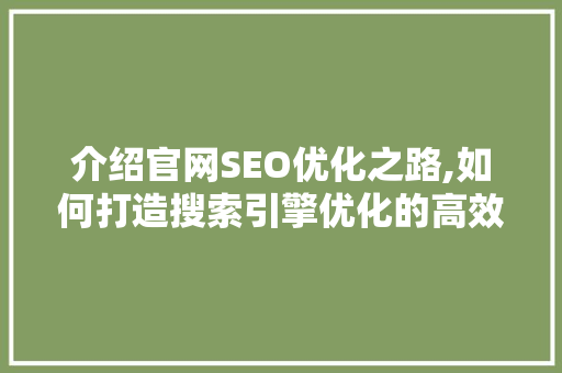 介绍官网SEO优化之路,如何打造搜索引擎优化的高效能平台 神马SEO