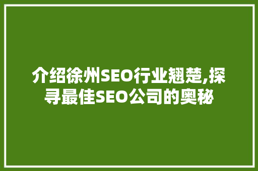 介绍徐州SEO行业翘楚,探寻最佳SEO公司的奥秘