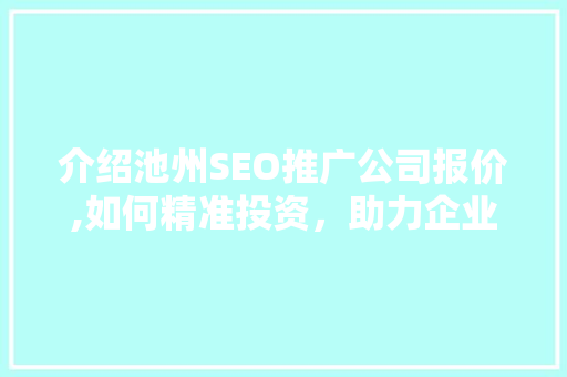 介绍池州SEO推广公司报价,如何精准投资，助力企业腾飞