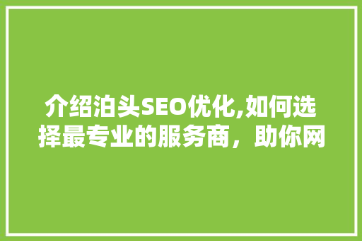 介绍泊头SEO优化,如何选择最专业的服务商，助你网站脱颖而出 神马SEO