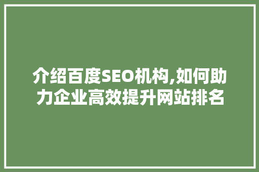 介绍百度SEO机构,如何助力企业高效提升网站排名 必应SEO