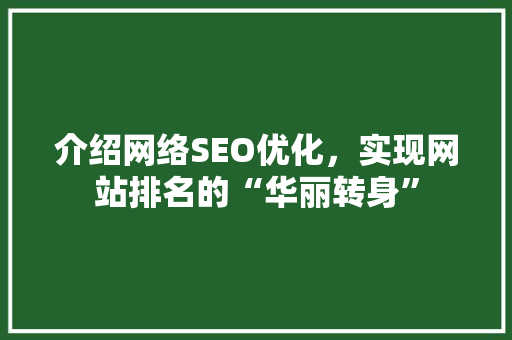 介绍网络SEO优化，实现网站排名的“华丽转身” 搜狗SEO
