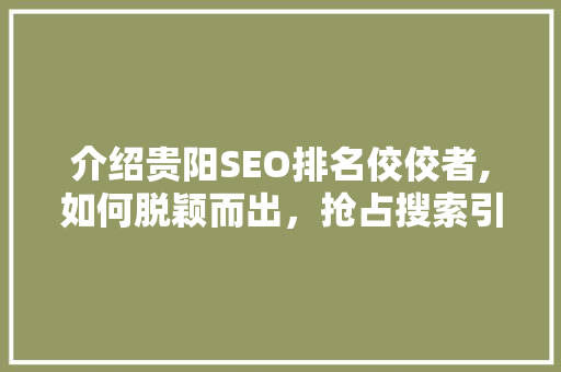 介绍贵阳SEO排名佼佼者,如何脱颖而出，抢占搜索引擎高地 百度SEO
