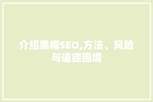 介绍黑帽SEO,方法、风险与道德困境 SEO关键词