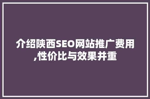 介绍陕西SEO网站推广费用,性价比与效果并重 SEO关键词
