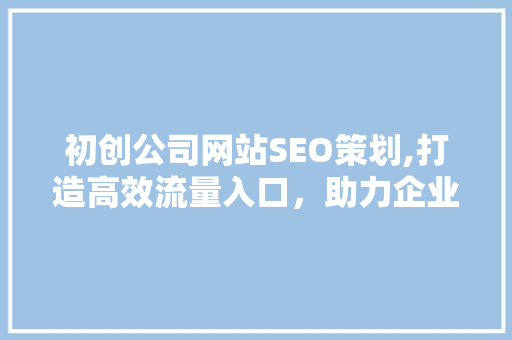 初创公司网站SEO策划,打造高效流量入口，助力企业腾飞