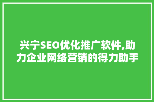 兴宁SEO优化推广软件,助力企业网络营销的得力助手