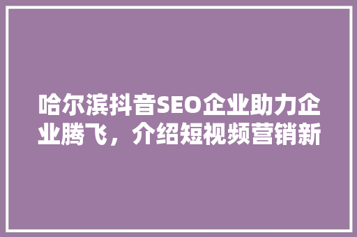 哈尔滨抖音SEO企业助力企业腾飞，介绍短视频营销新步骤