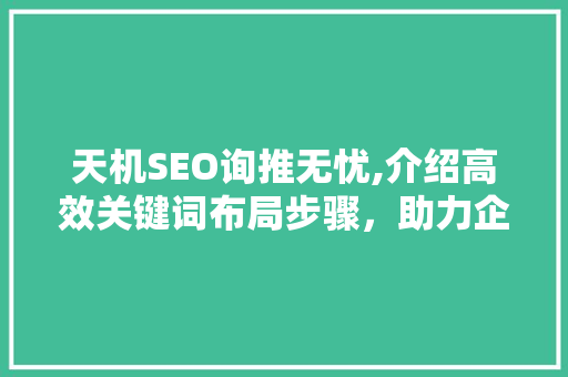 天机SEO询推无忧,介绍高效关键词布局步骤，助力企业网站优化 网站建设公司