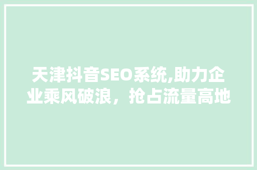 天津抖音SEO系统,助力企业乘风破浪，抢占流量高地 百度SEO