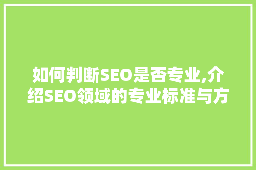 如何判断SEO是否专业,介绍SEO领域的专业标准与方法方法 百度SEO