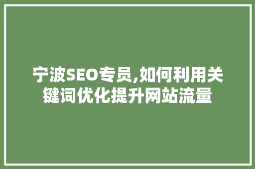 宁波SEO专员,如何利用关键词优化提升网站流量 必应SEO