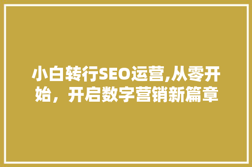 小白转行SEO运营,从零开始，开启数字营销新篇章 百度SEO