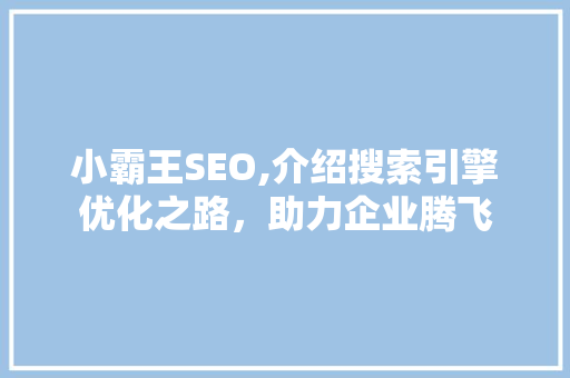 小霸王SEO,介绍搜索引擎优化之路，助力企业腾飞 搜狗SEO