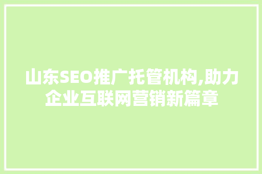 山东SEO推广托管机构,助力企业互联网营销新篇章 SEO关键词