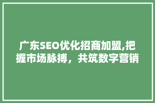 广东SEO优化招商加盟,把握市场脉搏，共筑数字营销新篇章 必应SEO