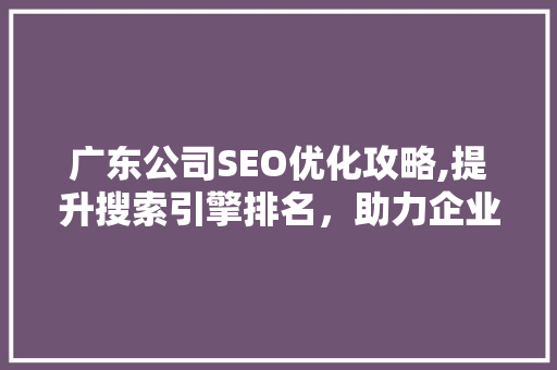 广东公司SEO优化攻略,提升搜索引擎排名，助力企业腾飞 神马SEO