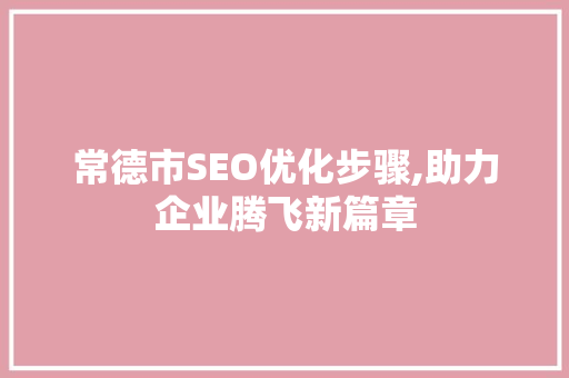 常德市SEO优化步骤,助力企业腾飞新篇章 网站建设公司